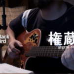 ブラックバード