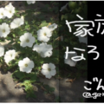 家族になろうよ